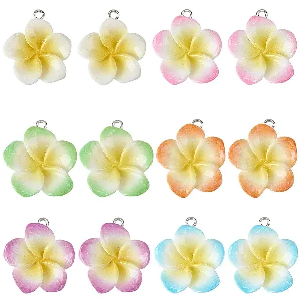 24Pcs 6 Colors Resin Pendants