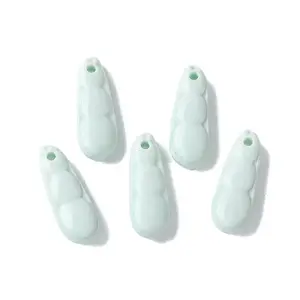 Natural Rainbow Alashan Agate Charms