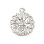 Brass Micro Pave Clear Cubic Zirconia Charms