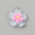 Transparent Resin Pendants