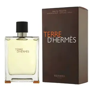 Hermes Terre D´ Hermes - EDT 100 ml