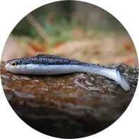 Redbass gumová nástraha ripper kicker black/silver - l 100 mm