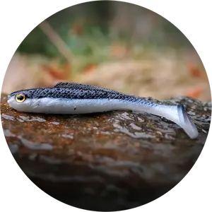 Redbass gumová nástraha ripper kicker black/silver - l 100 mm