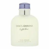 Dolce & Gabbana Light Blue Pour Homme toaletná voda pre mužov 125 ml