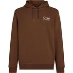 O'Neill ORIGINAL CALI LOGO Pánská mikina, hnědá, velikost