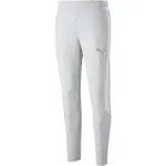 Puma EVOSTRIPE PANTS Pánské tepláky, šedá, velikost