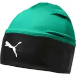 Puma LIGA BEANIE Čepice, zelená, velikost OSFA
