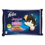 Felix Fantastic Junior kapsičky pre mačiatka kura, losos v želé 4×85 g