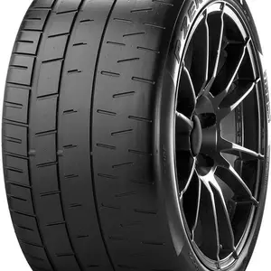 PIRELLI 295/30 R 19 100Y TROFEO_RACE TL ZR XL N0