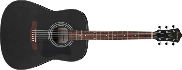 Ibanez V54NJP Weathered Black