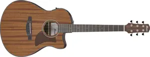 Ibanez AAM54CE Natural