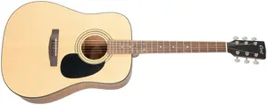 Cort AD 810E OP