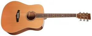 Tanglewood TW15 R
