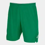 Men's/Boys' Shorts Joma Toledo II Green