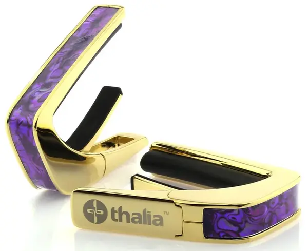 Thalia Shell Collection Purple Paua Gold