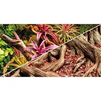 Hobby Pozadí oboustranné Jungle / Strangler Fig 60cm x 25m