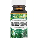 Saloos Esenciální olej Eukalyptus Citriodora 10 ml
