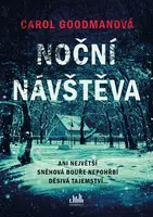 Noční návštěva - Carol Goodman - e-kniha