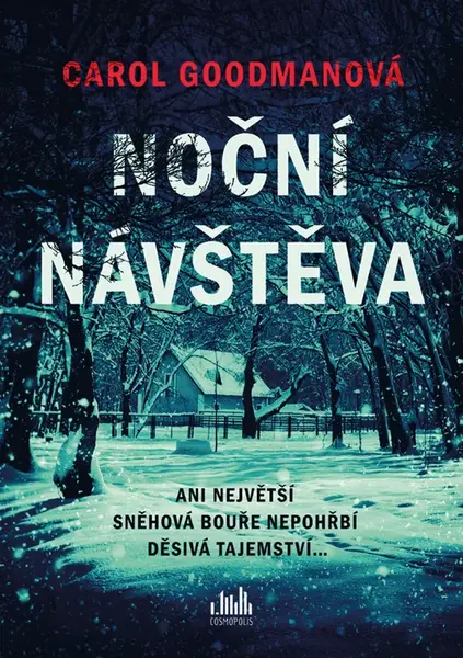 Noční návštěva - Carol Goodman - e-kniha