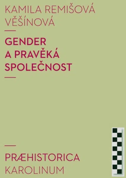 Gender a pravěká společnost - Kamila Remišová Věšínová - e-kniha