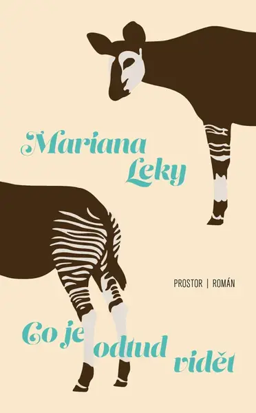 Co je odtud vidět - Mariana Leky