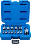 BGS technic Zástrčné hlavice Imbus 1/4", 3/8" a 1/2", H2-H14, sada 13 ks - BGS 74257