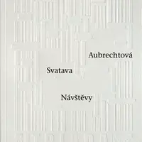 Návštěvy - Svatava Aubrechtová - e-kniha