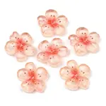 Transparent Epoxy Resin Cabochons