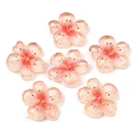 Transparent Epoxy Resin Cabochons