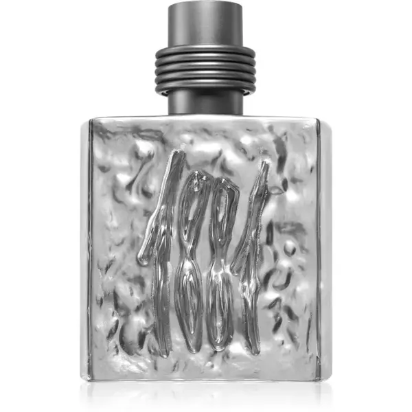 Cerruti 1881 Silver toaletná voda pre mužov 100 ml
