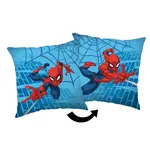 DEKORAČNÍ POLŠTÁŘ 40/40 cm