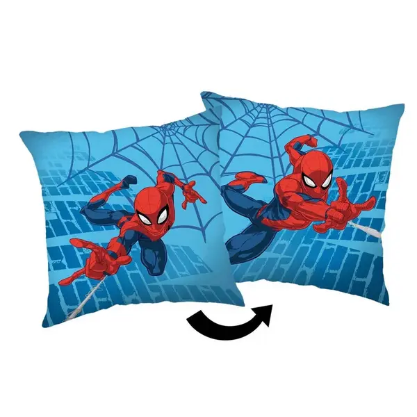 DEKORAČNÍ POLŠTÁŘ 40/40 cm