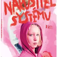 Narušitel systému (DVD)