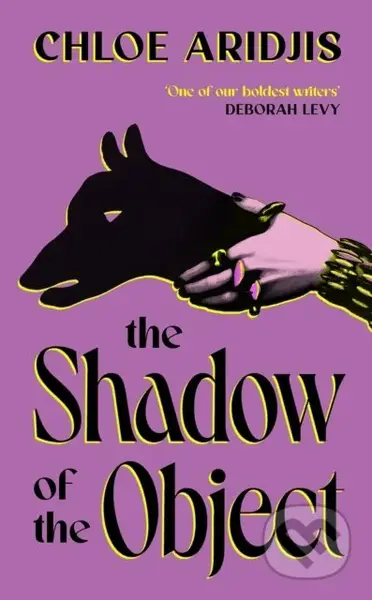 The Shadow of the Object - Chloe Aridjis