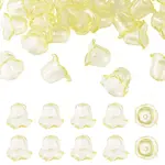 30Pcs Acrylic Bead Caps for Wind Chimes Making