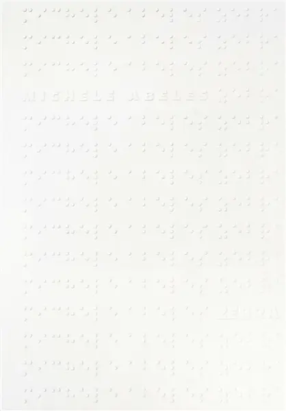 Michele Abeles: Zebra - Isabelle Graw