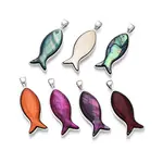 Alloy and Dyed Natural Paua Shell Pendants