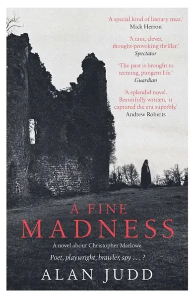 A Fine Madness - Alan Judd