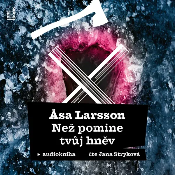 Než pomine tvůj hněv - Äsa Larssonová - audiokniha