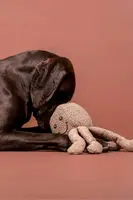 Psí hračka PAIKKA Bouclé Octopus 35 cm