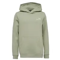 Puma ESSENTIALS 2 COL SMALL LOGO HOODIE FL B Chlapecká mikina, khaki, velikost
