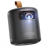 ETOE Dolphin DLP Projector