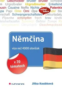 Němčina více než 4000 slovíček v 70 tématech - Jitka Koubková