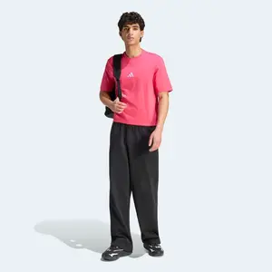 ADIDAS SPORTSWEAR Funkčné tričko 'Essentials'  malinová / biela