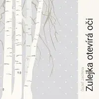 Lukáš Hlavica – Jachina: Zulejka otevírá oči CD-MP3