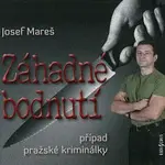 Různí interpreti – Mareš: Záhadné bodnutí