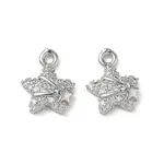 Brass Micro Pave Clear Cubic Zirconia Charms