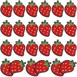 Cloth Embroidery Cloth Iron on/Sew on Patches