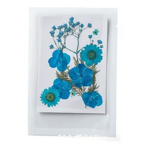 Pressed Dried Flowers