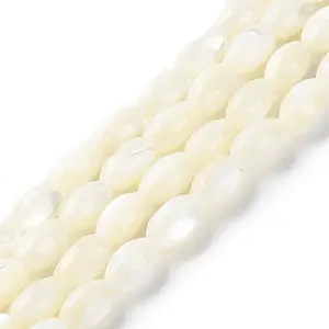 Natural Trochus Shell Beads Strands